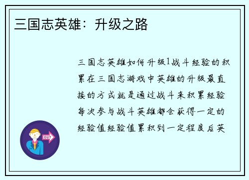 三国志英雄：升级之路